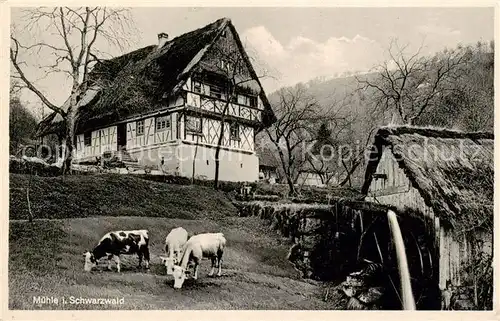 AK / Ansichtskarte  Achern_Baden Schwarzwald Muehle Achern_Baden