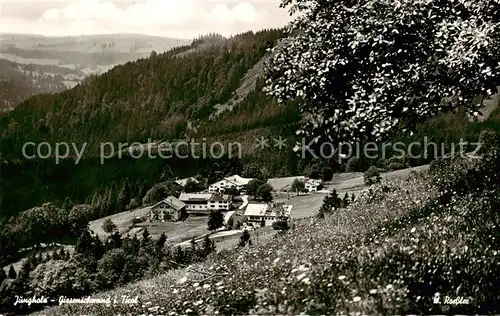 AK / Ansichtskarte 73848945 Jungholz_Tirol_AT Giesenschwand Panorama 