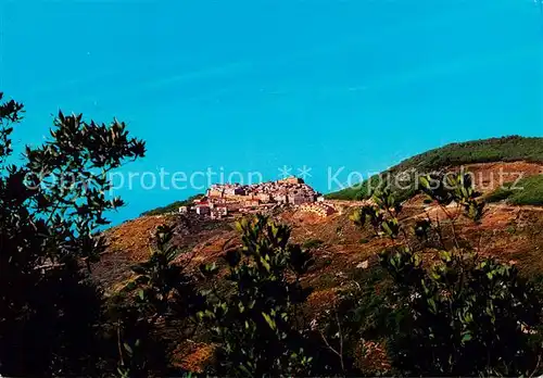 AK / Ansichtskarte  Isola_del_Giglio_IT Il Castello 