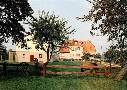 AK / Ansichtskarte  Bispingen Ferienhaus am Waldesrand Bispingen