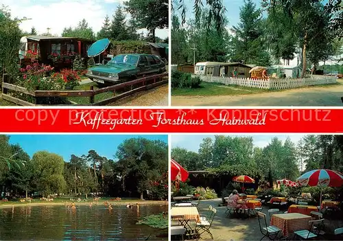 AK / Ansichtskarte  Haemelerwald Kaffeegarten Forsthaus Hainwald Badesee Freiterrasse Haemelerwald