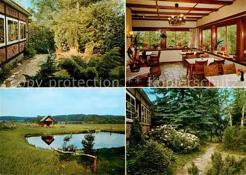  Duebbekold Waldpension Schoenblick Garten Teich Gastraum Duebbekold