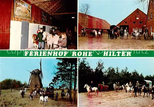 AK / Ansichtskarte 73849435 Hilter_Ems Ferienhof Reiterhof Rohe Urlaub auf dem Bauernhof Ausritte Windmuehle Kutschfahrten Hilter_Ems