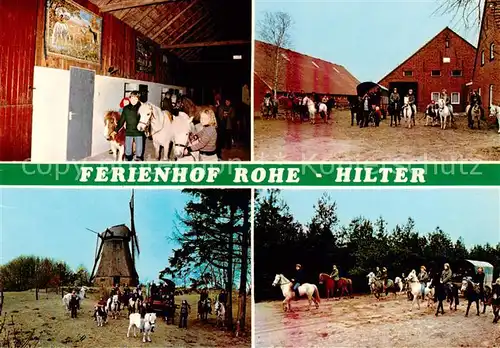 AK / Ansichtskarte  Hilter_Ems Ferienhof Reiterhof Rohe Urlaub auf dem Bauernhof Ausritte Windmuehle Kutschfahrten Hilter_Ems