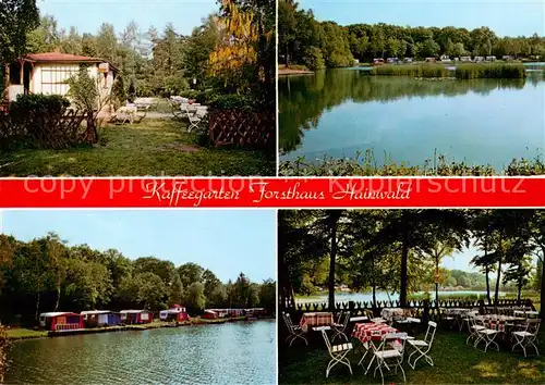 AK / Ansichtskarte  Haemelerwald Gaststaette Forsthaus Hainwald am Waldsee Haemelerwald