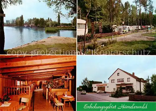 AK / Ansichtskarte  Haemelerwald Gaststaette Forsthaus Hainwald am Waldsee Haemelerwald