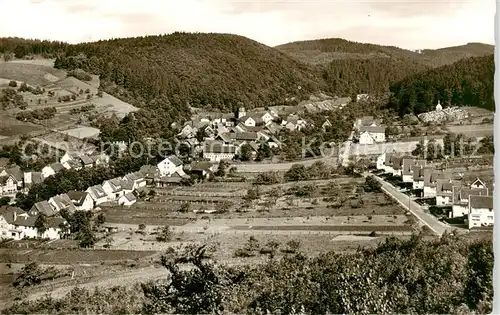 AK / Ansichtskarte  Steina_Suedharz Panorama Luftkurort Sommerfrische Steina Suedharz