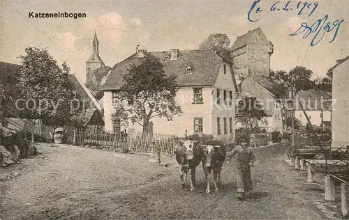 AK / Ansichtskarte 73850018 Katzenelnbogen Teilansicht Kuehe Katzenelnbogen