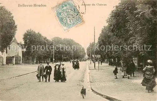 AK / Ansichtskarte  Bellevue-Meudon_92_Hauts-de-Seine Avenue du Château 