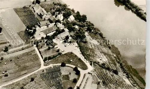 AK / Ansichtskarte  Hessigheim Gaststaette Schreyerhof Hessigheim