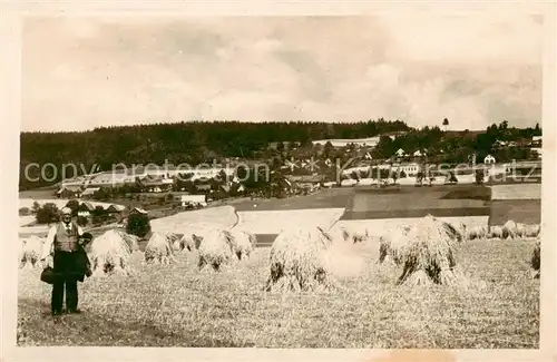 AK / Ansichtskarte  Bohdasin_Nove_Mesto_nad_Metuji_CZ u Cerv Kostelce 