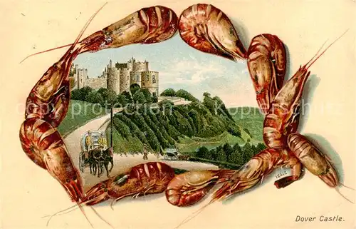 AK / Ansichtskarte 73850445 Dover__Kent_UK Castle Schloss Meeresfruechte Kuenstlerkarte 