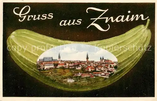 AK / Ansichtskarte  Znaim_Znojmo_CZ Panorama Gurke Kuenstlerkarte