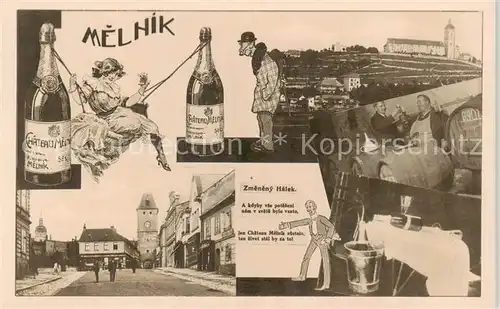 AK / Ansichtskarte  Melnik__CZ Teilansichten 
