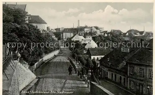 AK / Ansichtskarte  Saaz_Zatec_CZ Alte Stadtmauer 