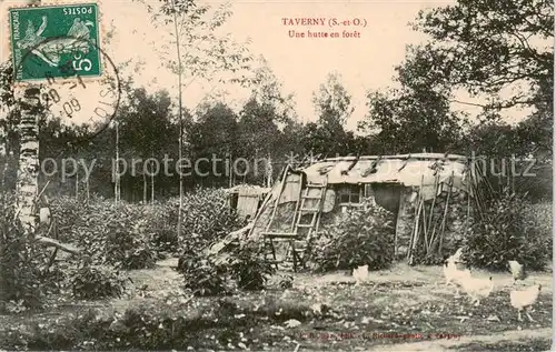 AK / Ansichtskarte  Taverny_95_Val-d_Oise Une hutte en forêt 