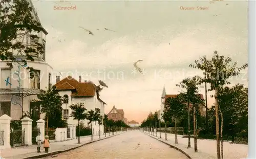 AK / Ansichtskarte 73850638 Salzwedel Grosser Stegel Salzwedel