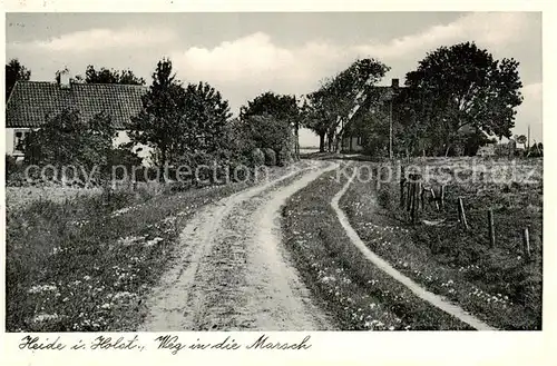 AK / Ansichtskarte  Heide_Holstein Weg in die Marsch Heide_Holstein