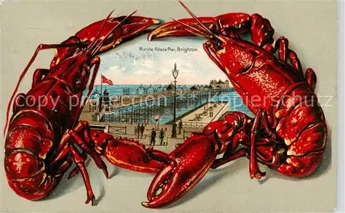 AK / Ansichtskarte  Brighton__East_Sussex_UK Marine Palace Pier