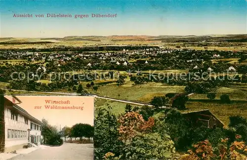 AK / Ansichtskarte  Duebendorf_ZH Blick vom Duebelstein Waldwirtschaft zur Waldmannsburg 