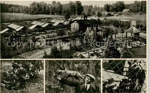 AK / Ansichtskarte  Isabellengruen Pelztierfarm Saaletalsperre Tierpark Isabellengruen