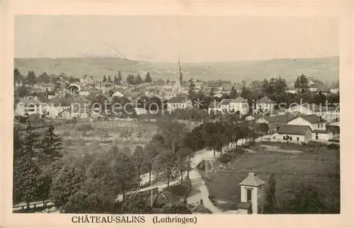 AK / Ansichtskarte  Chateau-Salins_57_Moselle Vue panoramique 