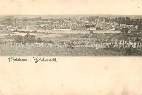 AK / Ansichtskarte  Molsheim_67_Bas-Rhin Panorama 
