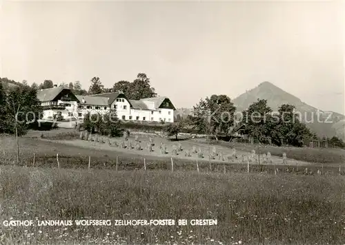 AK / Ansichtskarte 73852081 Gresten_Niederoesterreich_AT Gasthof Landhaus Wolfsberg Zellhofer Forster 