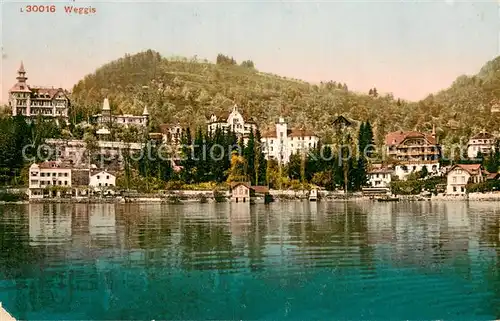 AK / Ansichtskarte  Weggis_Vierwaldstaettersee PZ Weggis  Weggis_Vierwaldstaettersee