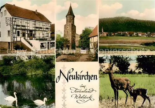 AK / Ansichtskarte  Neukirchen_Waldeck Pension Lindt Kirche Panorama Wild Schwanenteich Neukirchen Waldeck