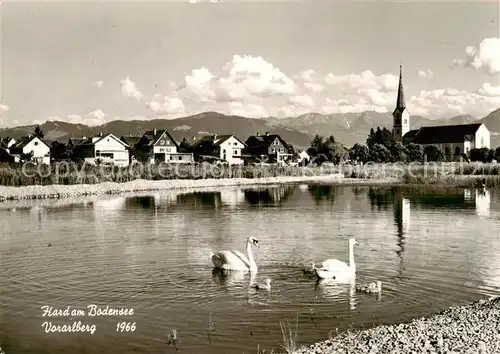 AK / Ansichtskarte  Hard_Vorarlberg Uferpartie am See Schwaene Blick zur Kirche Hard Vorarlberg