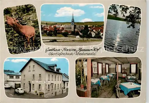 AK / Ansichtskarte  Obertiefenbach_Taunus Gasthaus Pension Nassauer Hof Gaststube Hirsch Seeweiher  Obertiefenbach Taunus