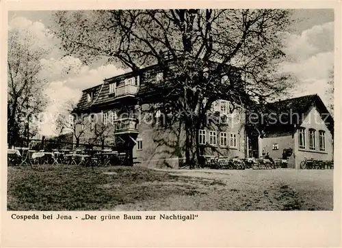 AK / Ansichtskarte  Cospeda Der gruene Baum zur Nachtigall Cospeda