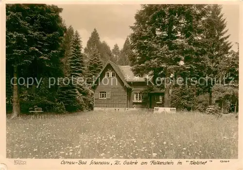 AK / Ansichtskarte  Foto_Hahn_Nr. Nr. 13060 Ostrau Bad Schandau Waldhof Foto_Hahn_Nr.