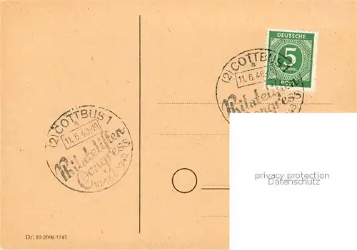 AK / Ansichtskarte  Dresden_Elbe Briefmarken Ankauf Alfred Arendt 