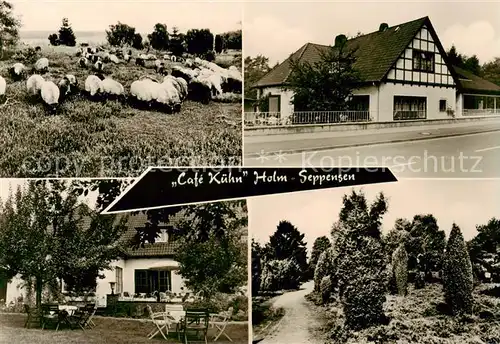 AK / Ansichtskarte  Holm-Seppensen Schafherde Cafe Kuehn Terrasse Park Holm-Seppensen