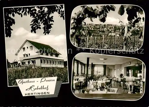 AK / Ansichtskarte  Hertingen_Bad_Bellingen Gasthaus Pension Hebelhof Gastraum Reblandschaft Hertingen_Bad_Bellingen