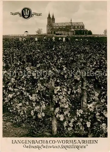 AK / Ansichtskarte  Worms_Rhein Langenbach et Co Wein und Sektkellereien Liebfrauenstift Worms Rhein