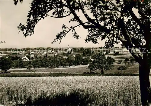 AK / Ansichtskarte  Truttikon_ZH Panorama 