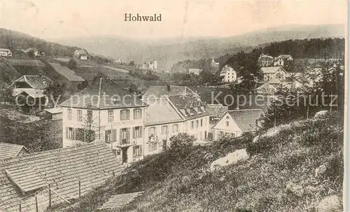 AK / Ansichtskarte  Hohwald_Le_67 Panorama 