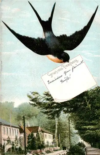 AK / Ansichtskarte  Pinneberg Briefschwalbe Pinneberg