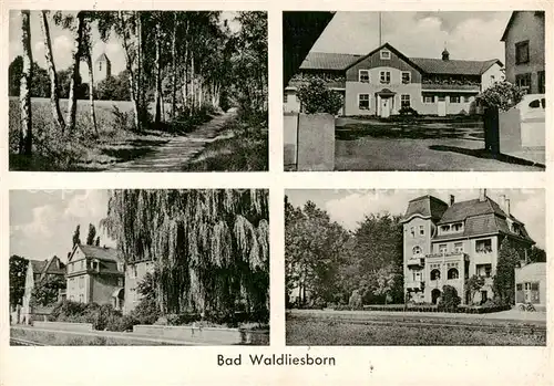 AK / Ansichtskarte  Bad_Waldliesborn Allee Teilansichten Kurhaus Bad_Waldliesborn