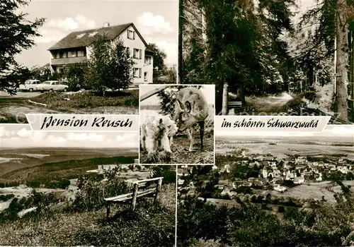 AK / Ansichtskarte  Egenhausen_Wuerttemberg Pension Reusch Waldweg Panorama Egenhausen Wuerttemberg