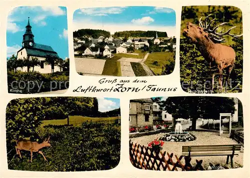 AK / Ansichtskarte  Zorn_Heidenrod_Taunus Kirche Panorama Hirschbrunft Reh Anlage 