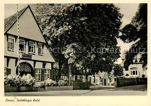 AK / Ansichtskarte  Lienen__Westfalen Ortspartie
