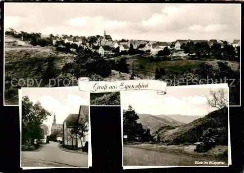 AK / Ansichtskarte  Espenschied_Lorch Panorama Pension Haus am Huegel Blick im Wispertal 