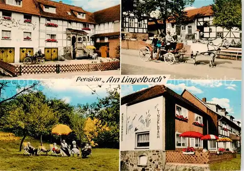 AK / Ansichtskarte 73854256 Rengshausen_Knuellwald Pension Am Lingelbach Pferdekutsche Garten Rengshausen Knuellwald