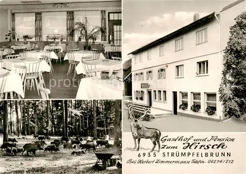 AK / Ansichtskarte 73854526 Struempfelbrunn Gasthof Pension Zum Hirsch Gaststube Wildschweinrudel Struempfelbrunn