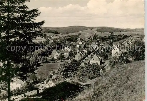 AK / Ansichtskarte  Zoeschen Panorama Zoeschen