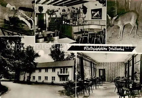 AK / Ansichtskarte  Gernsheim Waldgaststaette Hubertus Gastraeume Dach und Reh Gernsheim